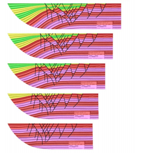 Cross Section Restoration